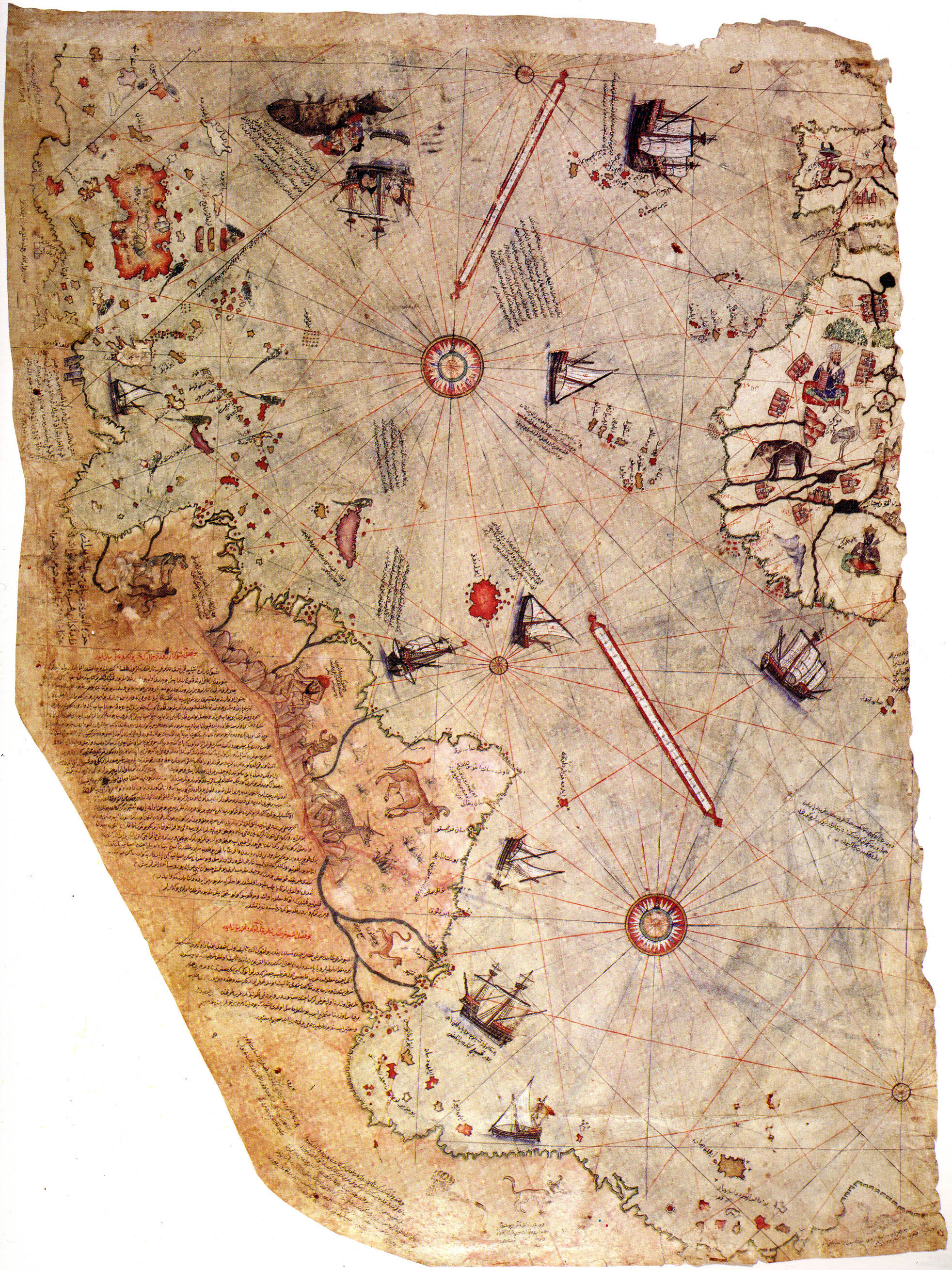 The 1513 Piri Reis world map fragment